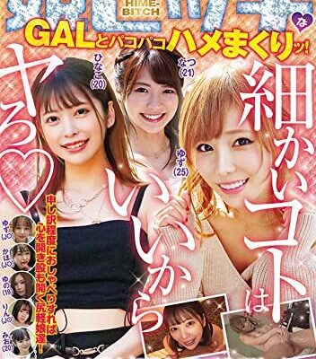 姫ビッチなGALとパコパコハメまくりッ! 細かいコトはいいからヤろ(ハート) [DVD] [アダルト] 形式: DVD